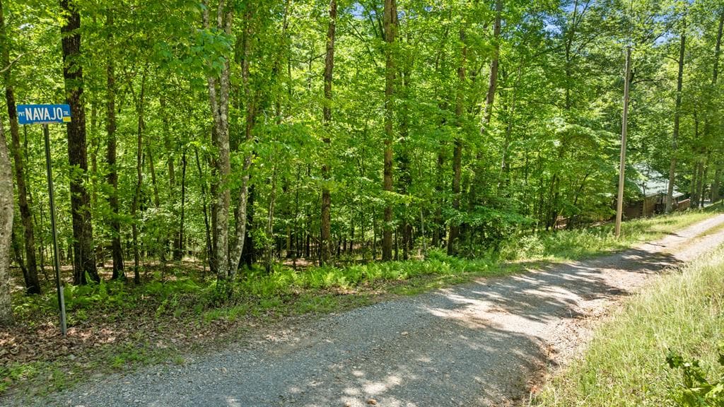 LT 16 Navajo Trail, Mccaysville GA 30555 - Photo