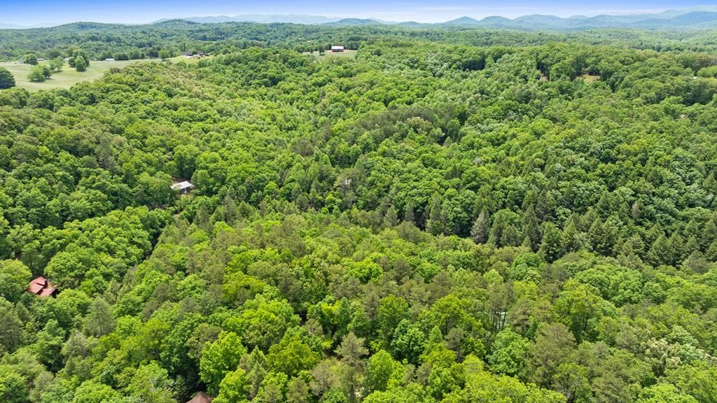 LT 16 Navajo Trail, Mccaysville GA 30555 - Photo