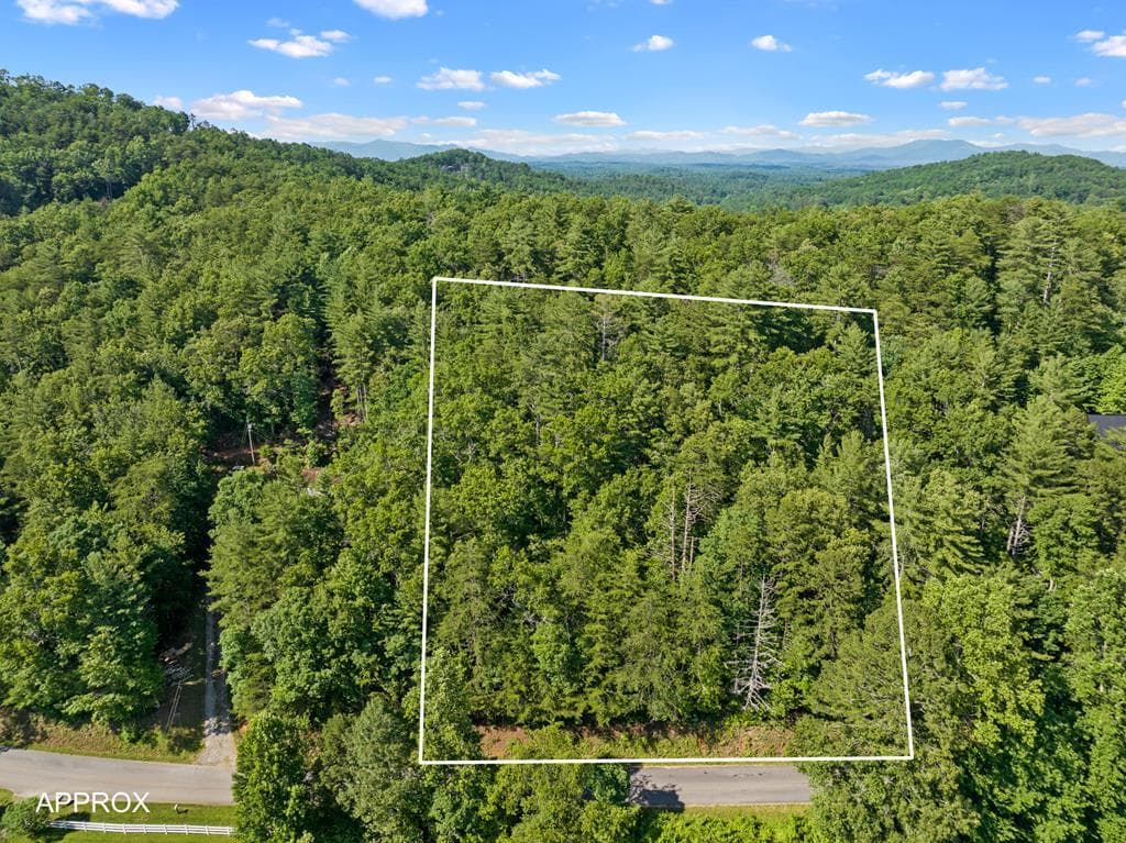 2 AC Ritchie Creek Road, Blue Ridge GA 30513 - Photo