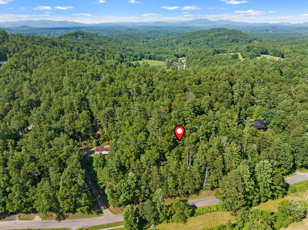 2 AC Ritchie Creek Road, Blue Ridge GA 30513 - Photo
