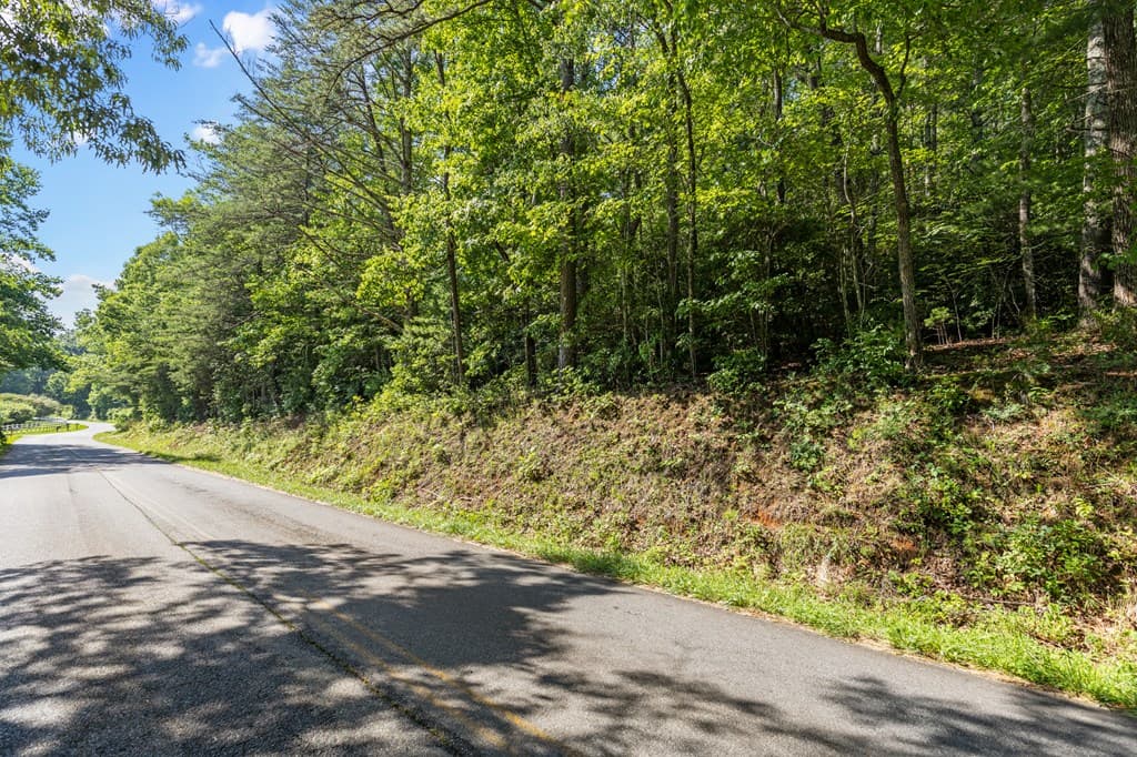 2 AC Ritchie Creek Road, Blue Ridge GA 30513 - Photo