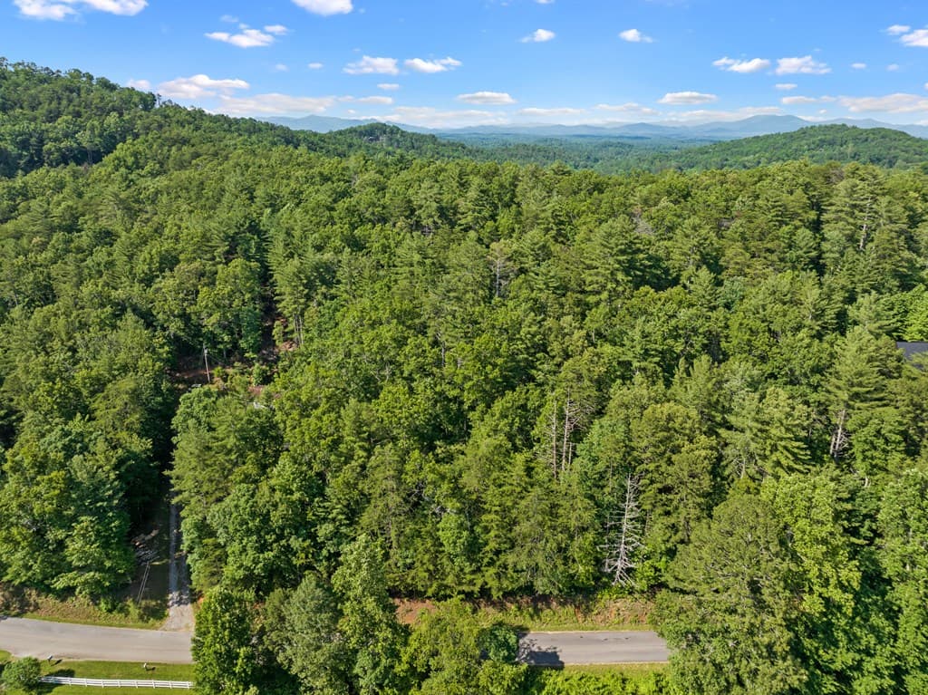 2 AC Ritchie Creek Road, Blue Ridge GA 30513 - Photo