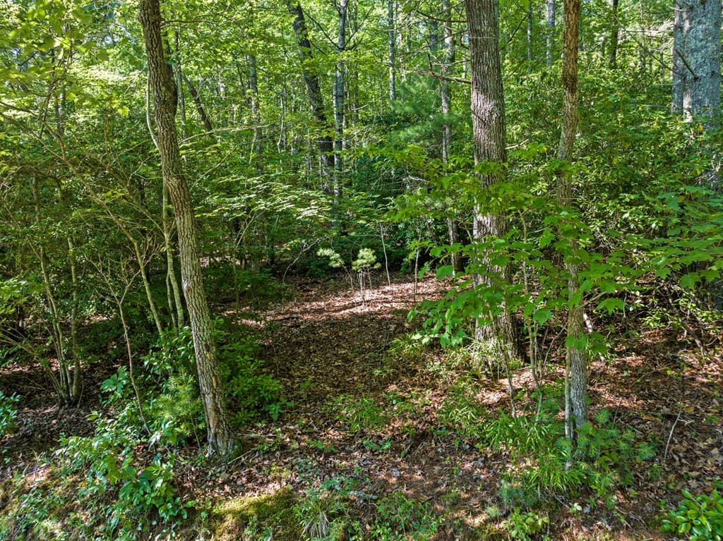 2 AC Ritchie Creek Road, Blue Ridge GA 30513 - Photo
