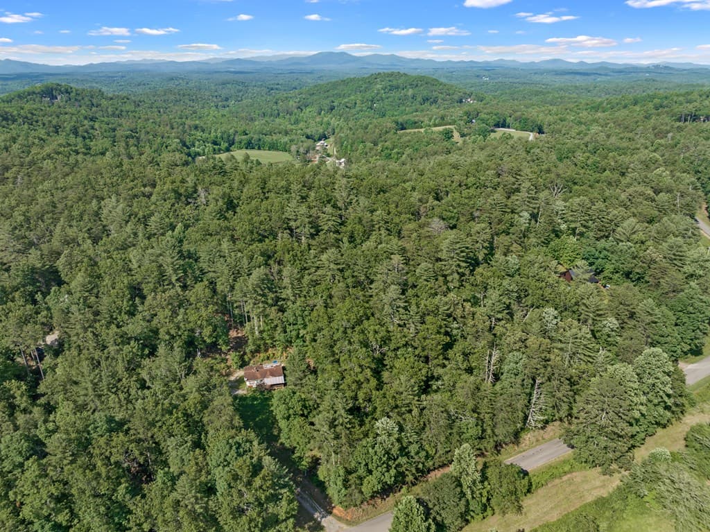 2 AC Ritchie Creek Road, Blue Ridge GA 30513 - Photo