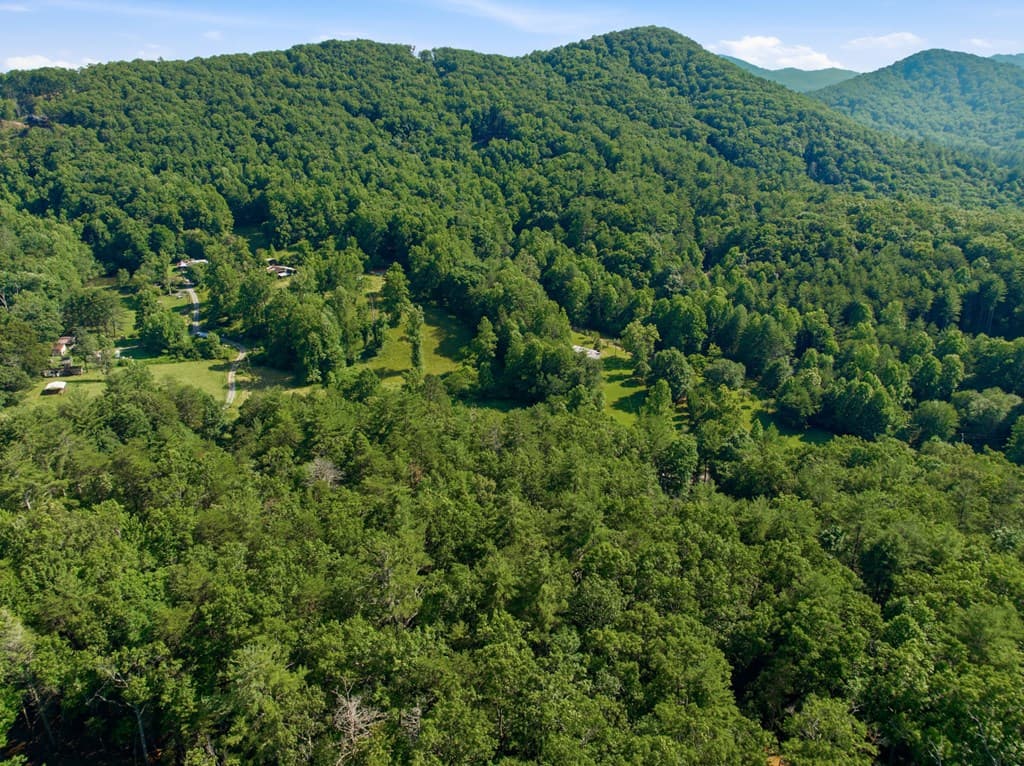 2 AC Ritchie Creek Road, Blue Ridge GA 30513 - Photo