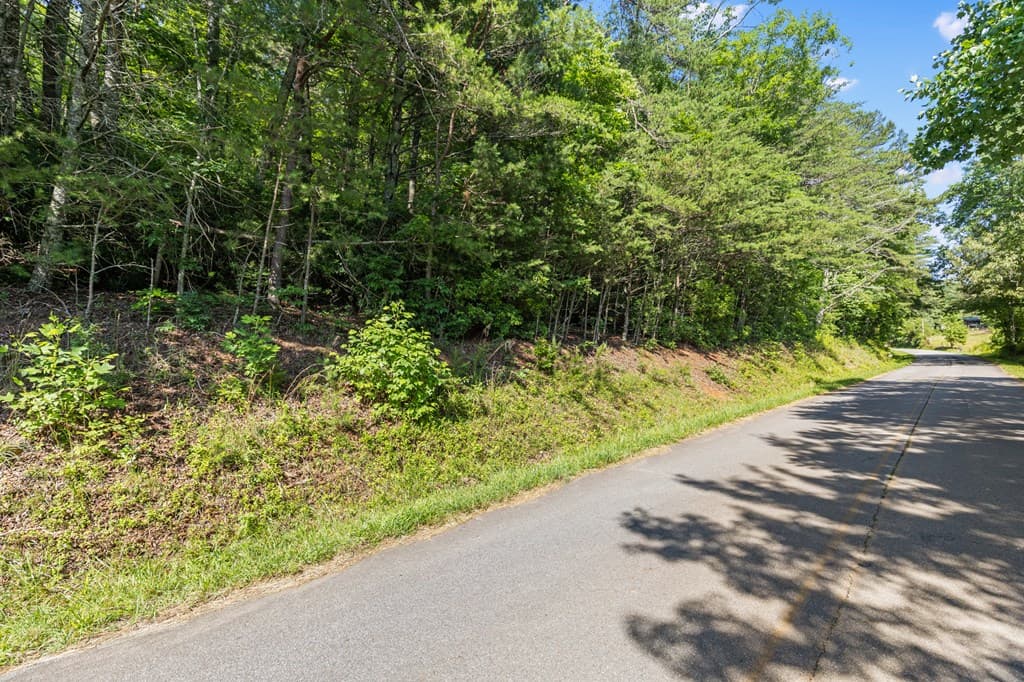 2 AC Ritchie Creek Road, Blue Ridge GA 30513 - Photo