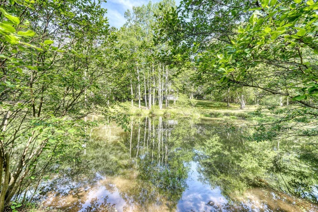 1493 Greasy Creek Road, Brasstown NC 28902 - Photo