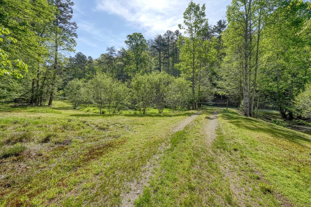 1493 Greasy Creek Road, Brasstown NC 28902 - Photo