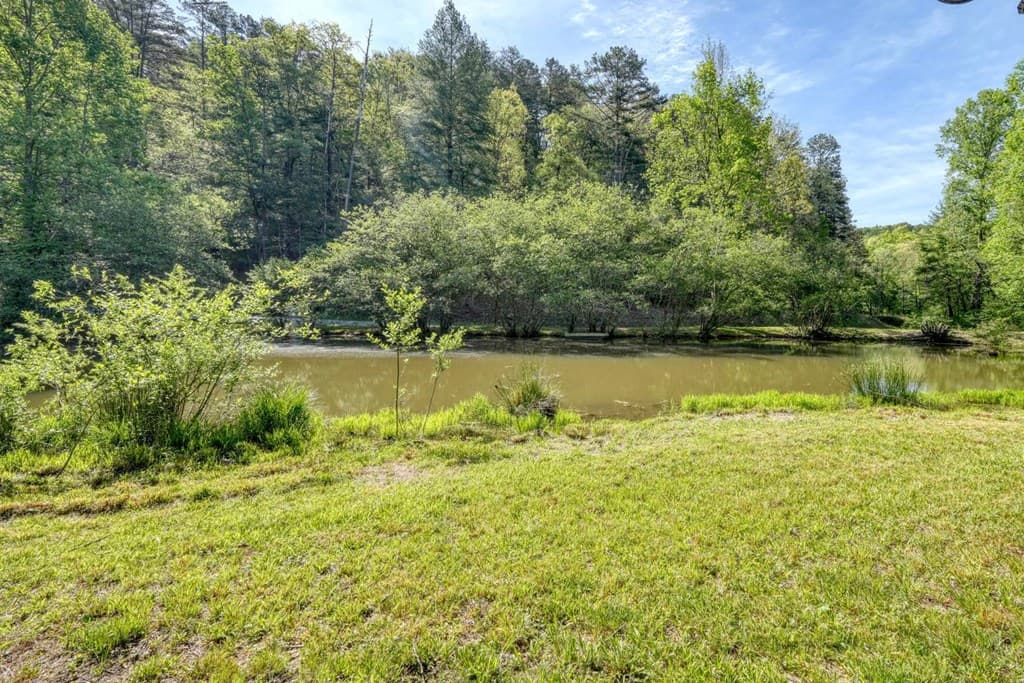 1493 Greasy Creek Road, Brasstown NC 28902 - Photo