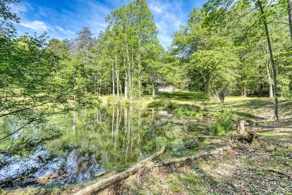 1493 Greasy Creek Road, Brasstown NC 28902 - Photo
