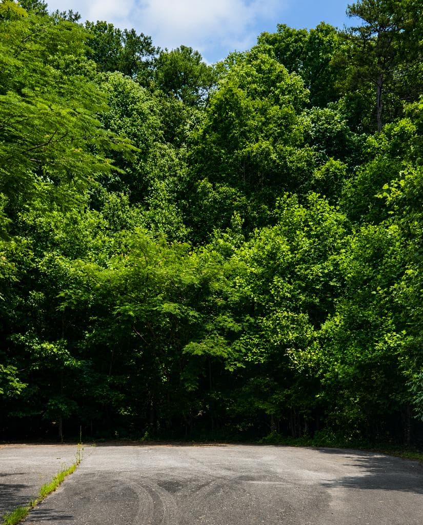 4 Lots Kelly Lane, Ellijay GA 30540 - Photo