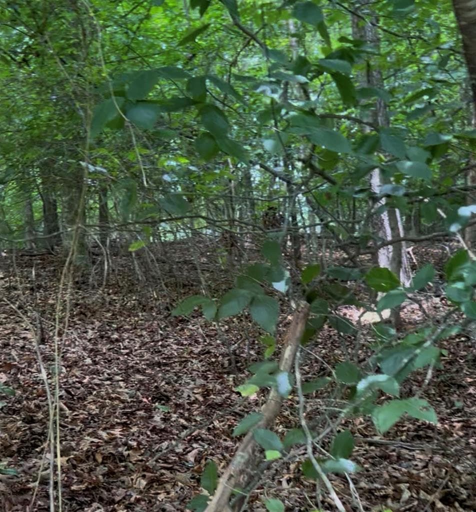 4 Lots Kelly Lane, Ellijay GA 30540 - Photo