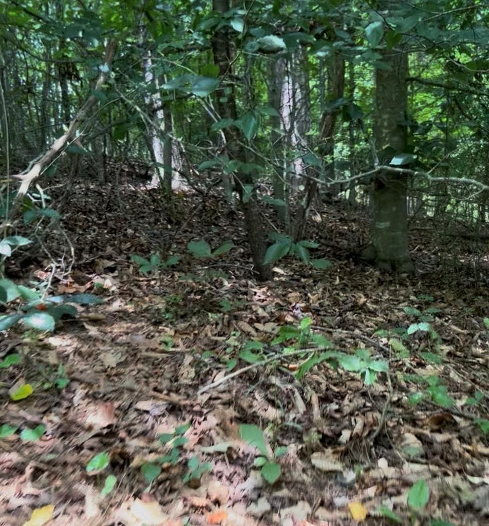 4 Lots Kelly Lane, Ellijay GA 30540 - Photo