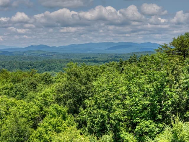 46 Sequoya Trl, Blairsville GA 30512 - Photo