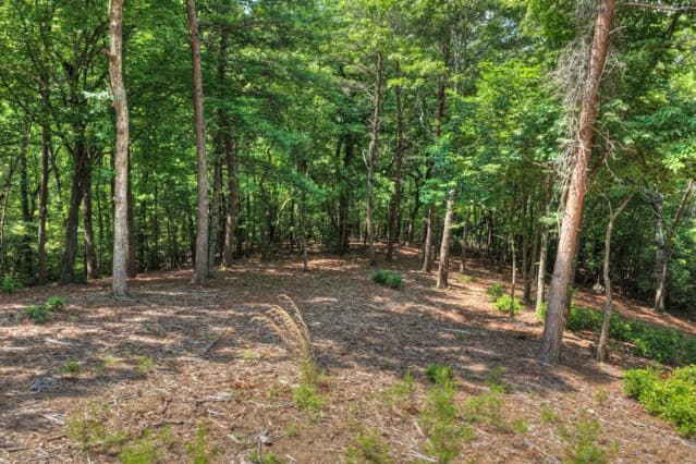 46 Sequoya Trl, Blairsville GA 30512 - Photo