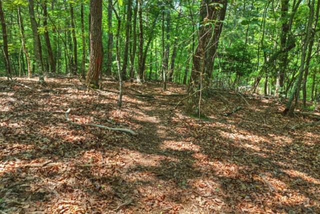 46 Sequoya Trl, Blairsville GA 30512 - Photo