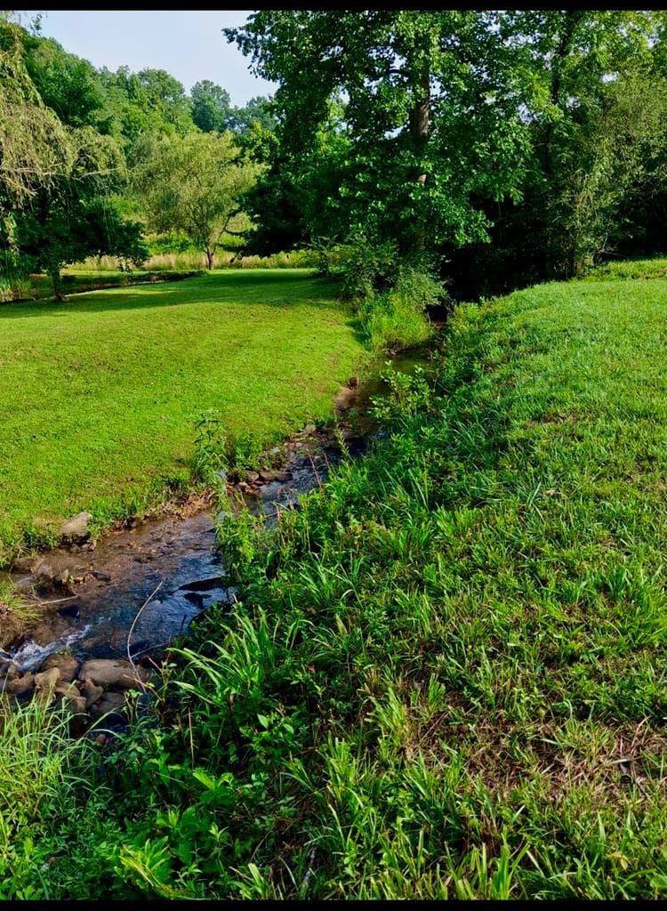 905 State Hwy 66, Young Harris GA 30582 - Photo