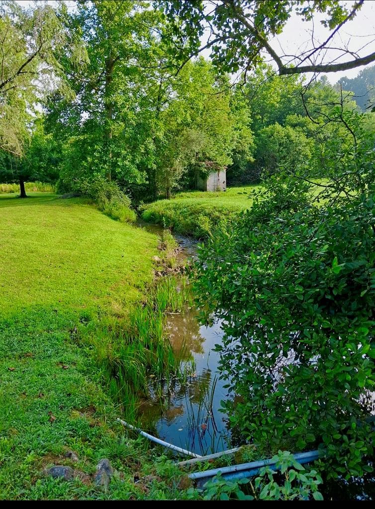 905 State Hwy 66, Young Harris GA 30582 - Photo