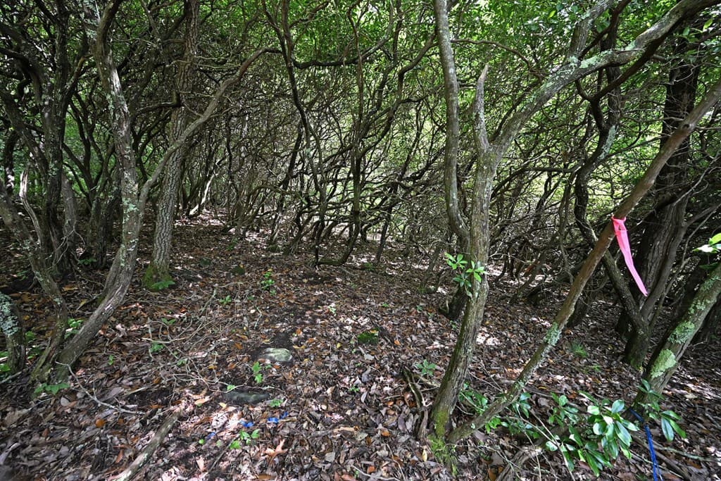 Lot 3 The Ridges, Hiawassee GA 30546 - Photo