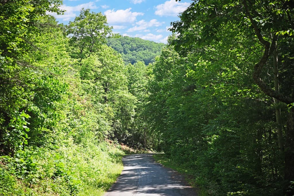 Lot 3 The Ridges, Hiawassee GA 30546 - Photo