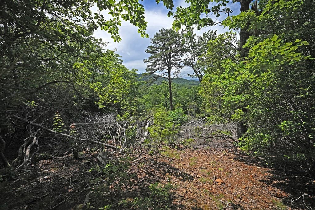 Lot 3 The Ridges, Hiawassee GA 30546 - Photo