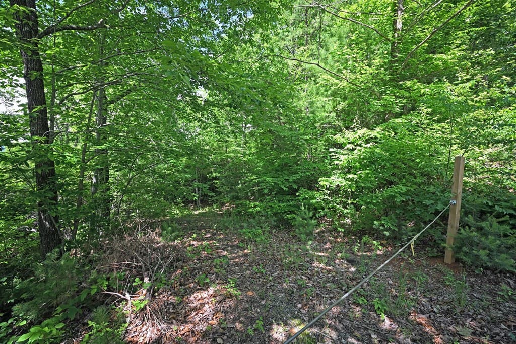 Lot 3 The Ridges, Hiawassee GA 30546 - Photo