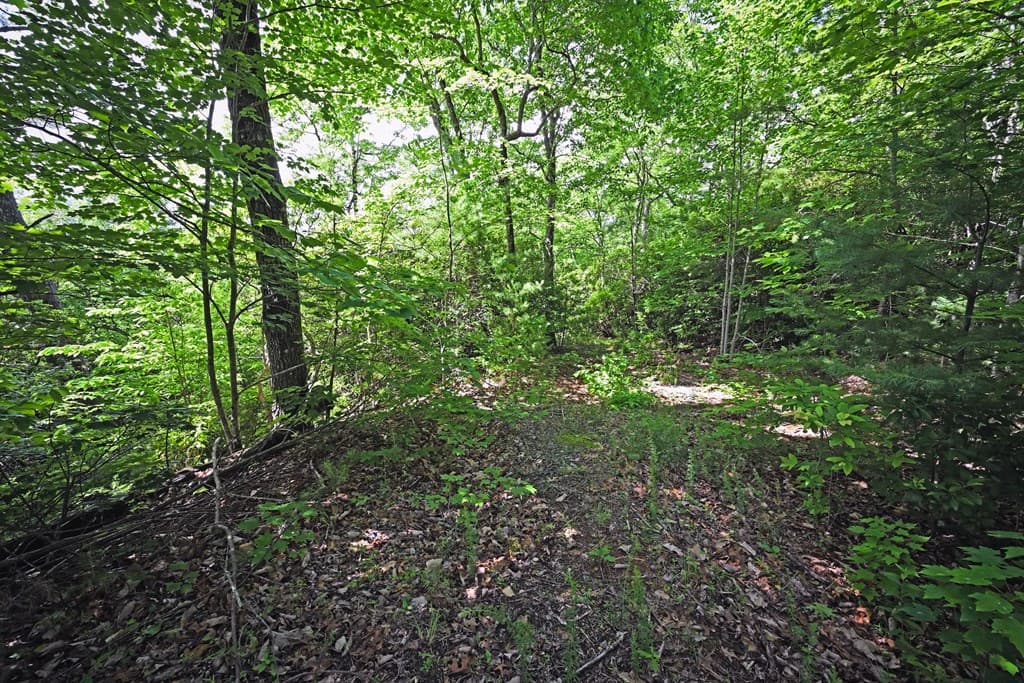 Lot 3 The Ridges, Hiawassee GA 30546 - Photo