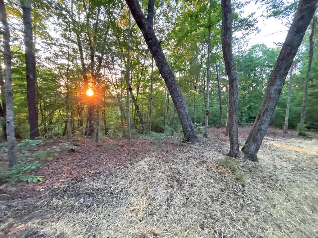 Lot 18 Mt. Springer Road, Ellijay GA 30540 - Photo