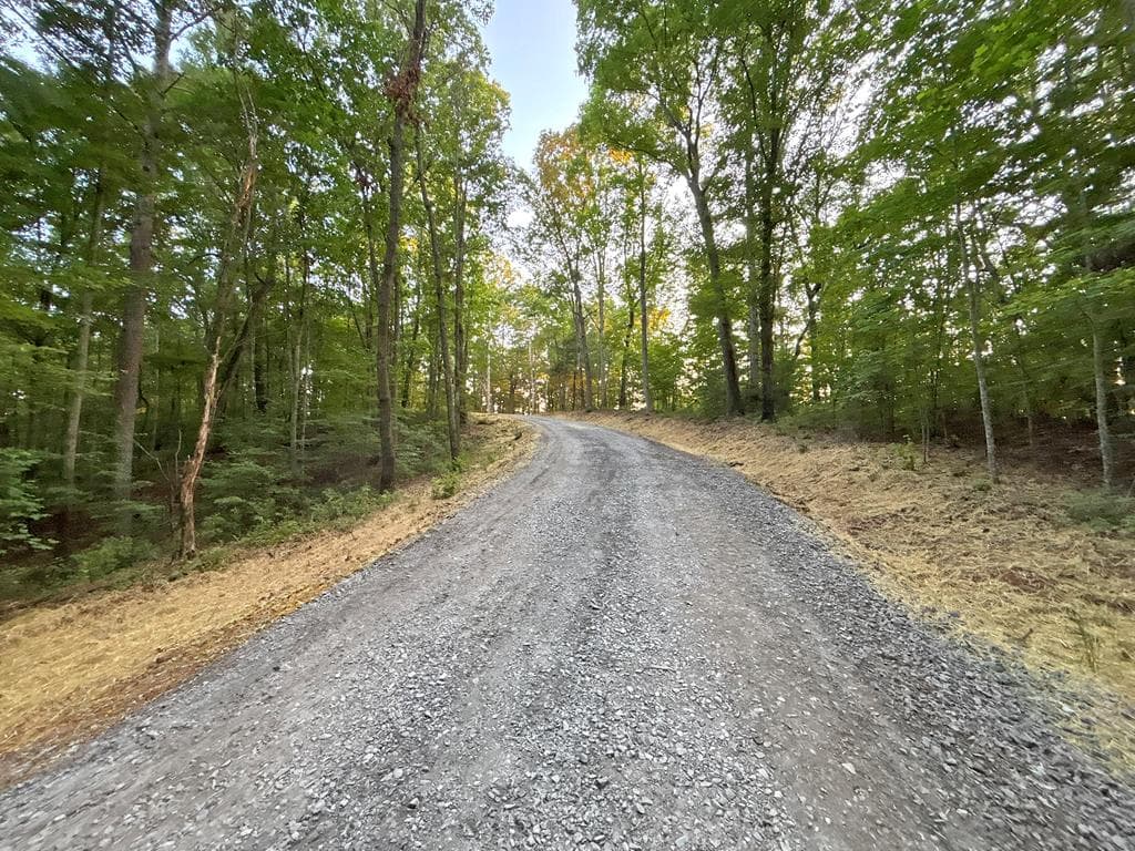 Lot 18 Mt. Springer Road, Ellijay GA 30540 - Photo