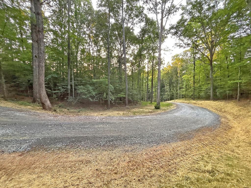 Lot 18 Mt. Springer Road, Ellijay GA 30540 - Photo