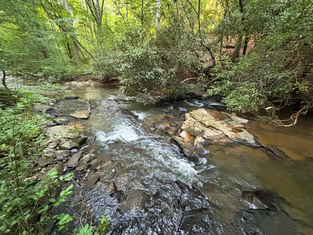 Lot 18 Mt. Springer Road, Ellijay GA 30540 - Photo