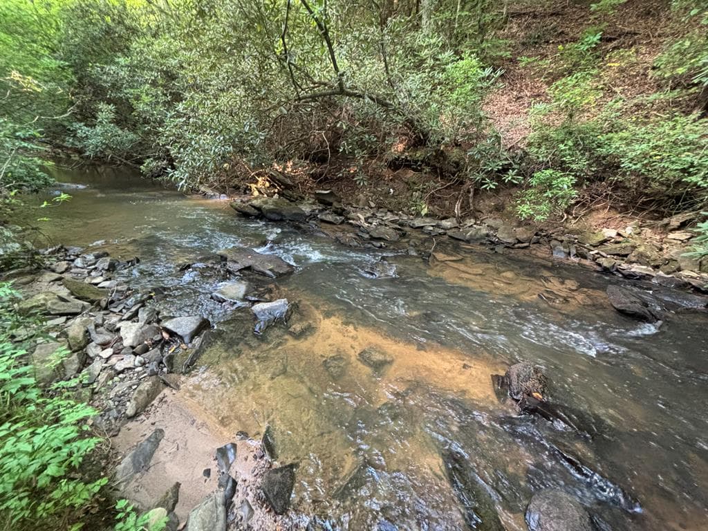 Lot 18 Mt. Springer Road, Ellijay GA 30540 - Photo