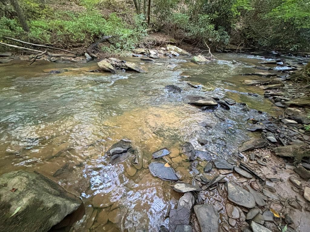 Lot 18 Mt. Springer Road, Ellijay GA 30540 - Photo