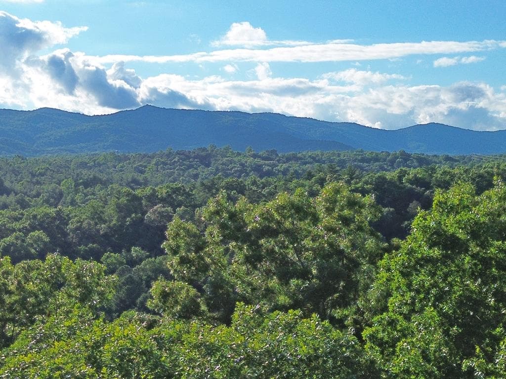 Lot 18 Mt. Springer Road, Ellijay GA 30540 - Photo