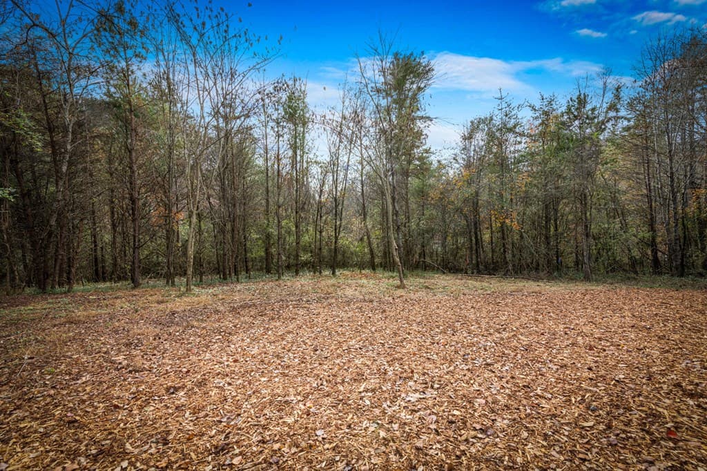 40 Cherry Street, East Ellijay GA 30540 - Photo