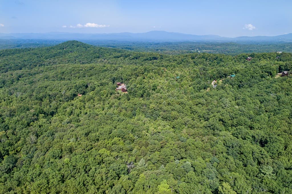 1 and 2 Blue Arrow Lane, Mineral Bluff GA 30559 - Photo
