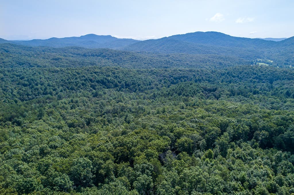 1 and 2 Blue Arrow Lane, Mineral Bluff GA 30559 - Photo