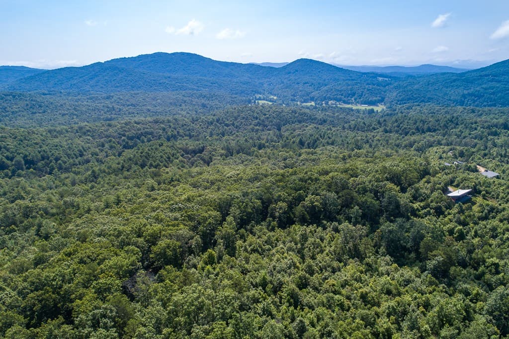 1 and 2 Blue Arrow Lane, Mineral Bluff GA 30559 - Photo