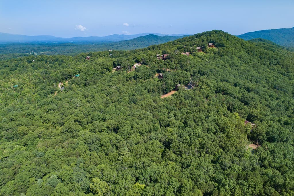 1 and 2 Blue Arrow Lane, Mineral Bluff GA 30559 - Photo
