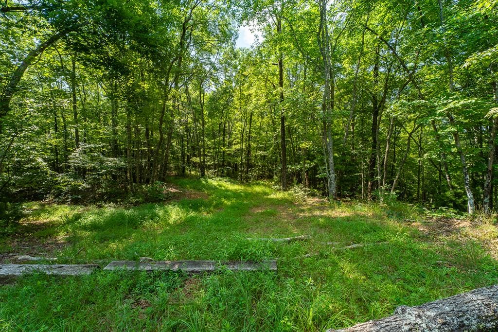 1 and 2 Blue Arrow Lane, Mineral Bluff GA 30559 - Primary photo