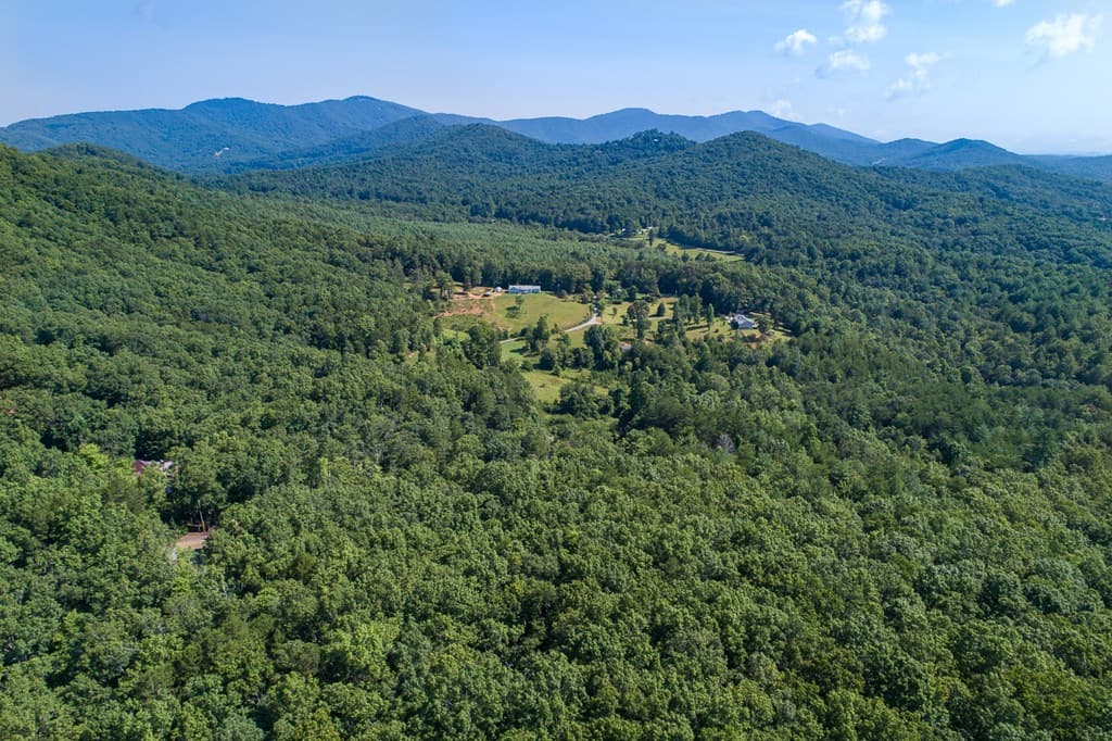 1 and 2 Blue Arrow Lane, Mineral Bluff GA 30559 - Photo