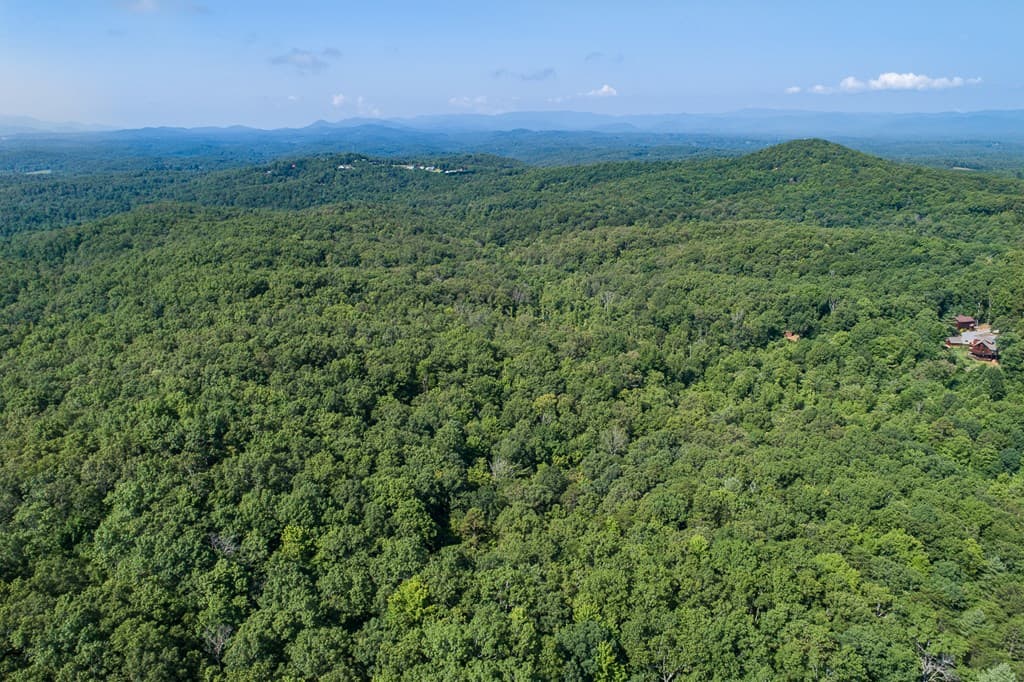 1 and 2 Blue Arrow Lane, Mineral Bluff GA 30559 - Photo