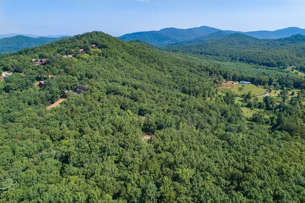 1 and 2 Blue Arrow Lane, Mineral Bluff GA 30559 - Photo