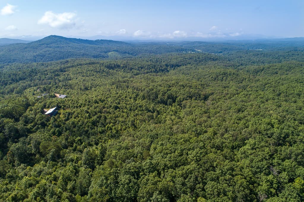 1 and 2 Blue Arrow Lane, Mineral Bluff GA 30559 - Photo