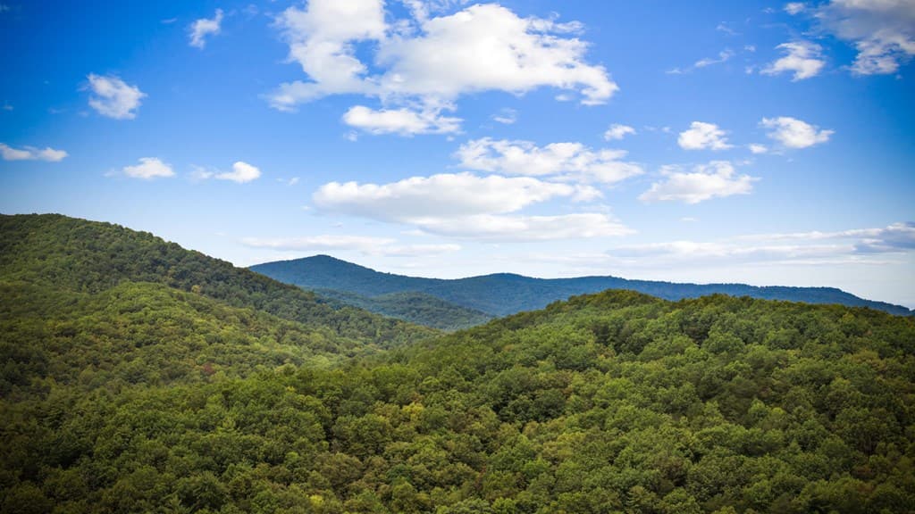 Lot 16 Buckskin Drive, Blue Ridge GA 30513 - Photo