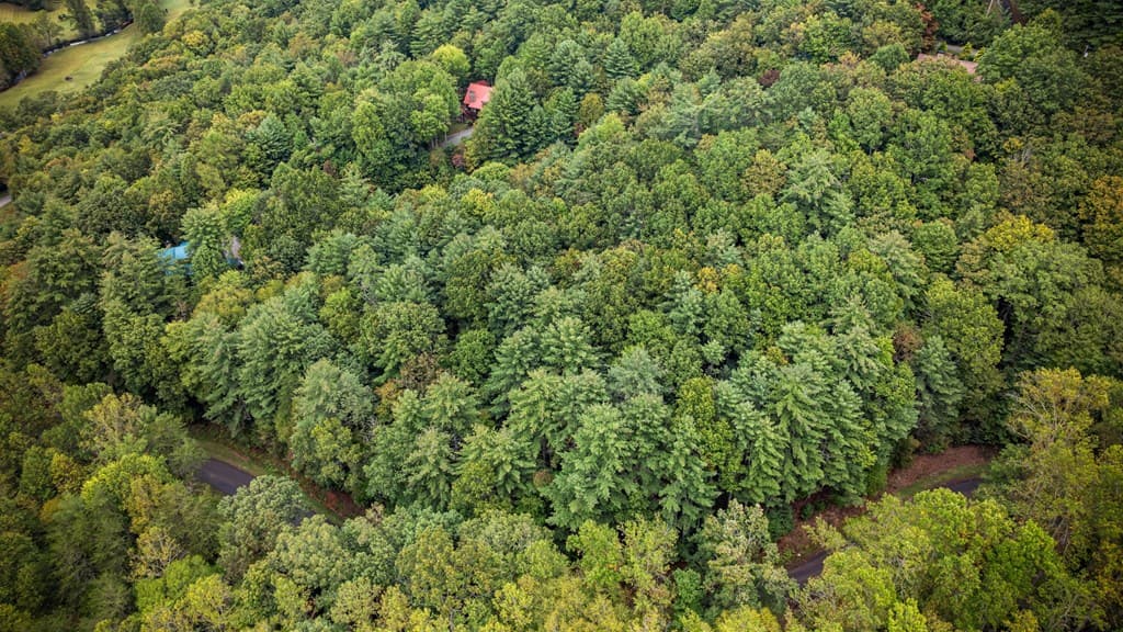 Lot 16 Buckskin Drive, Blue Ridge GA 30513 - Photo