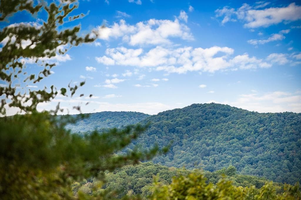 Lot 16 Buckskin Drive, Blue Ridge GA 30513 - Primary photo