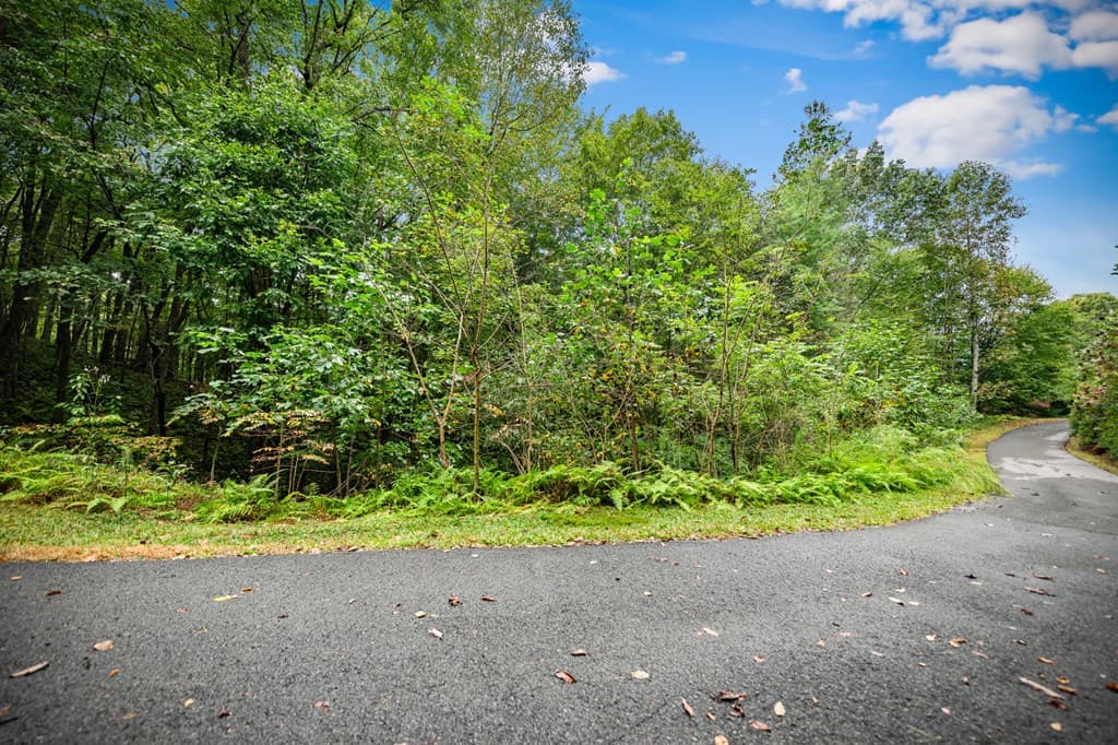 Lot 16 Buckskin Drive, Blue Ridge GA 30513 - Photo