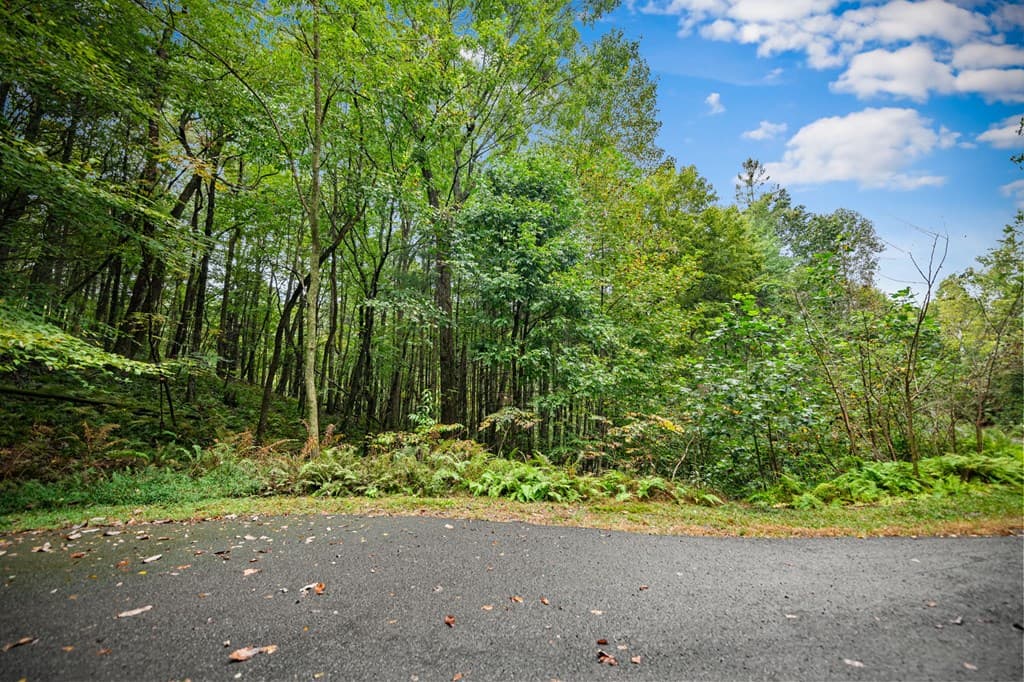 Lot 16 Buckskin Drive, Blue Ridge GA 30513 - Photo