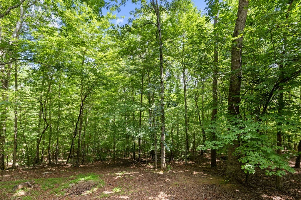 52 Merit Court, Ellijay GA 30540 - Photo